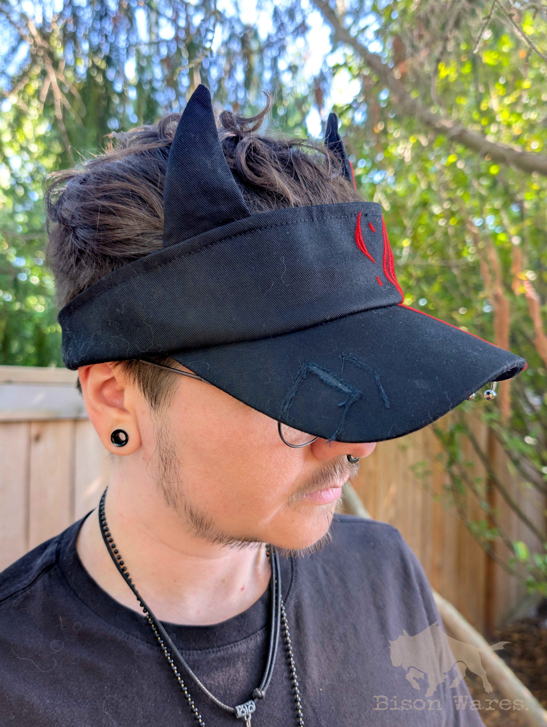 Visor