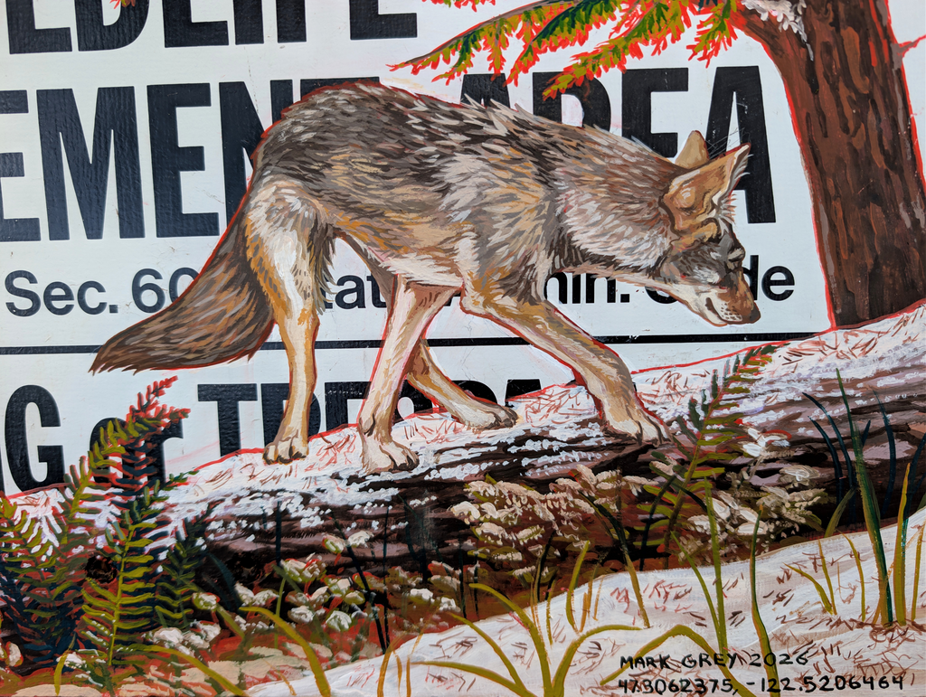 Red Wolf Woods - Limited Print