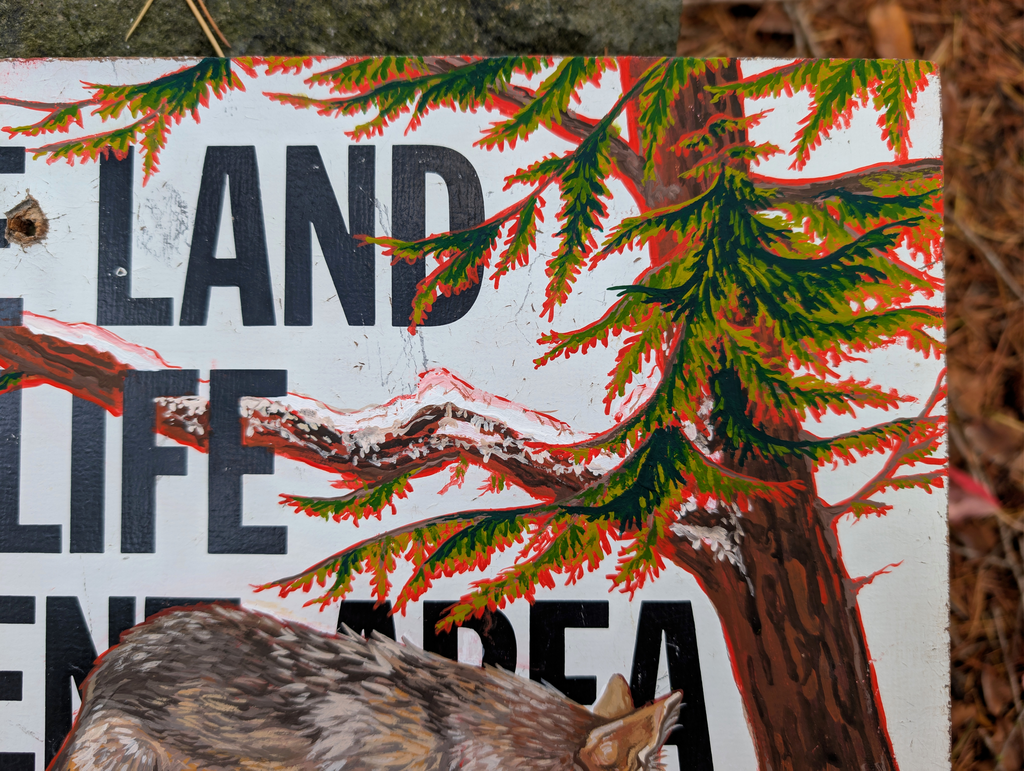 Red Wolf Woods - Limited Print