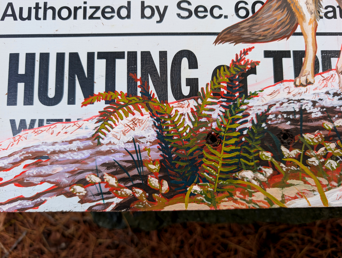 Red Wolf Woods - Limited Print