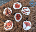 Mystery Fossil Wooden Charms