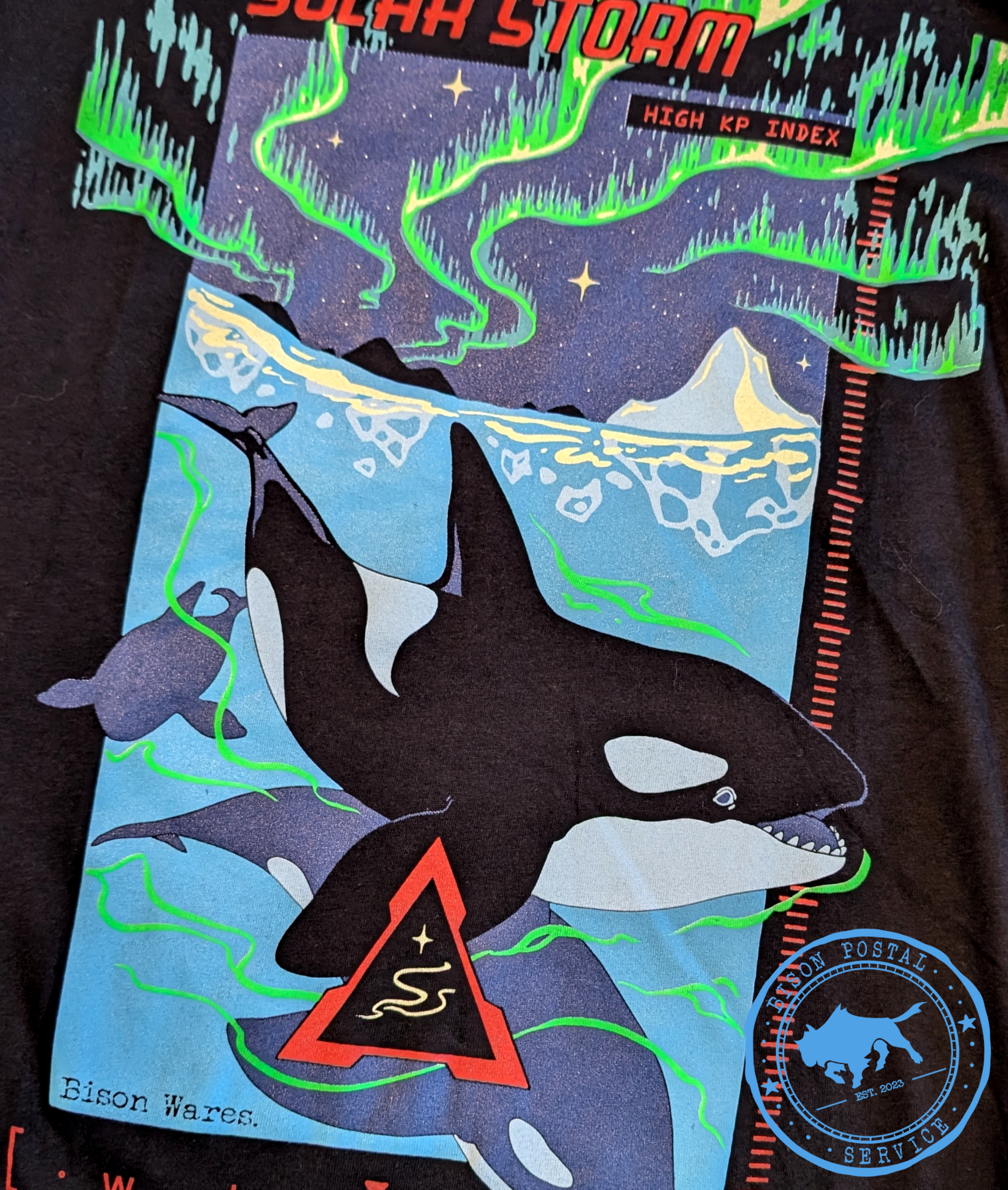 Solar Storm Orca Whales- T-Shirt
